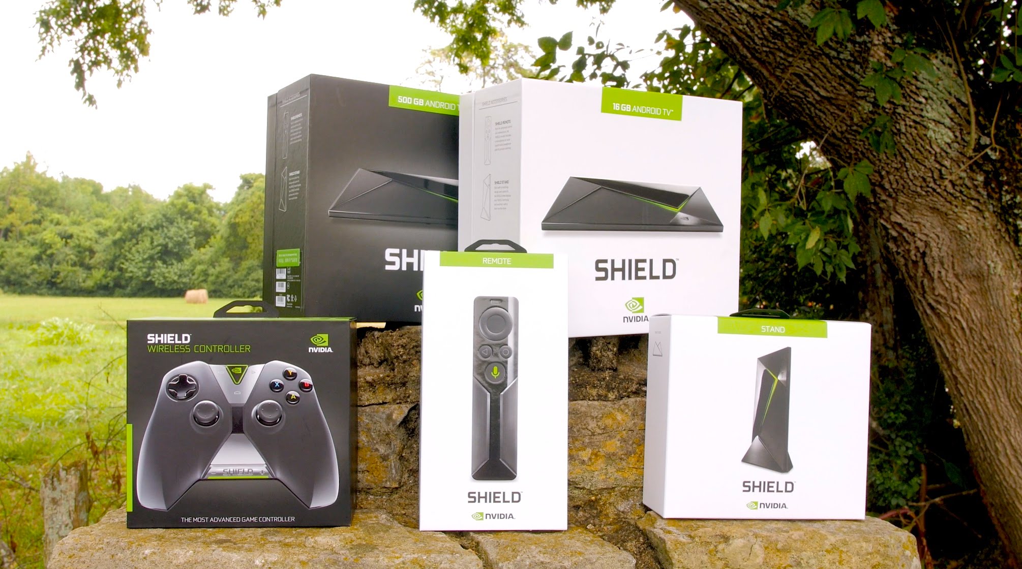 Best set. Shield Console для телевизора. NVIDIA Shield выходы. Шелл портит NVIDIA приставка.