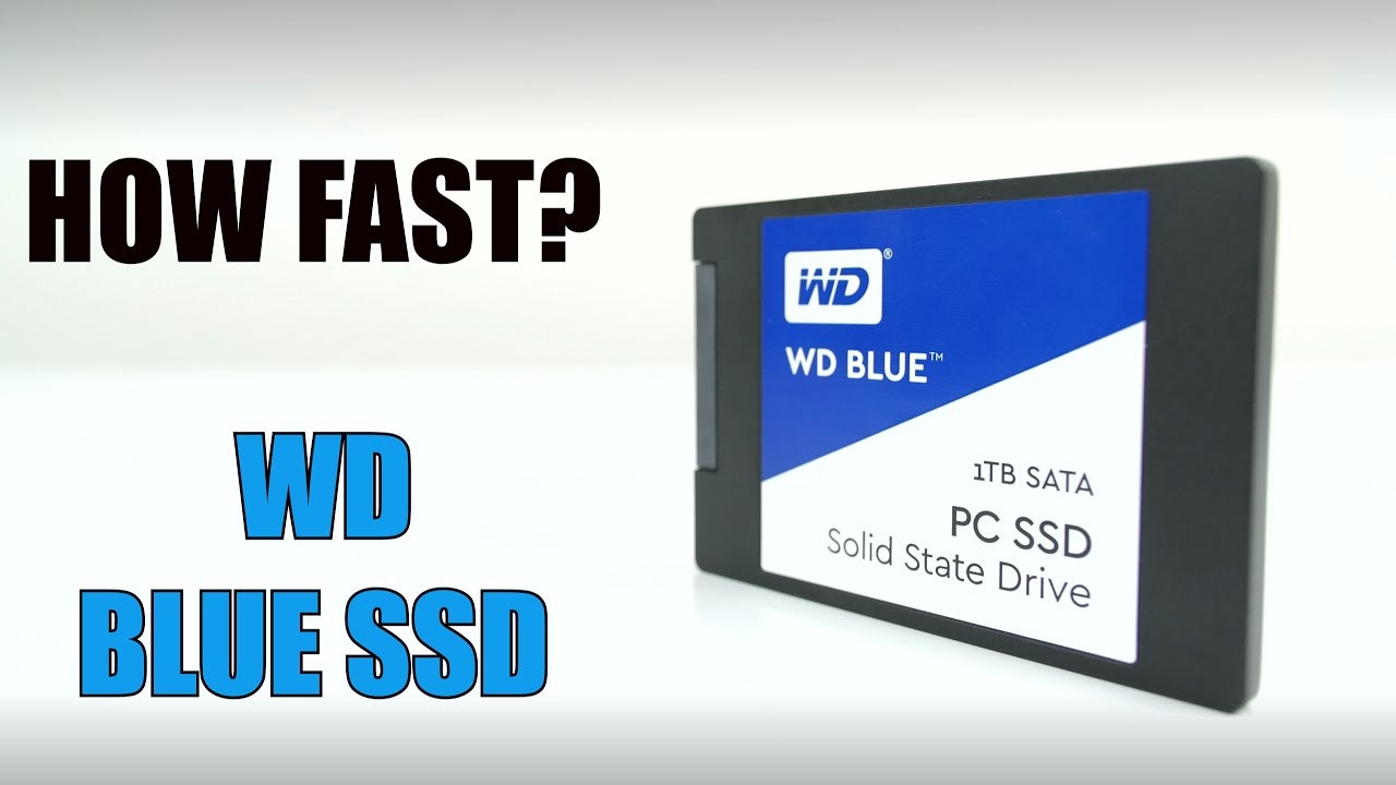 Ssd 1tb blue