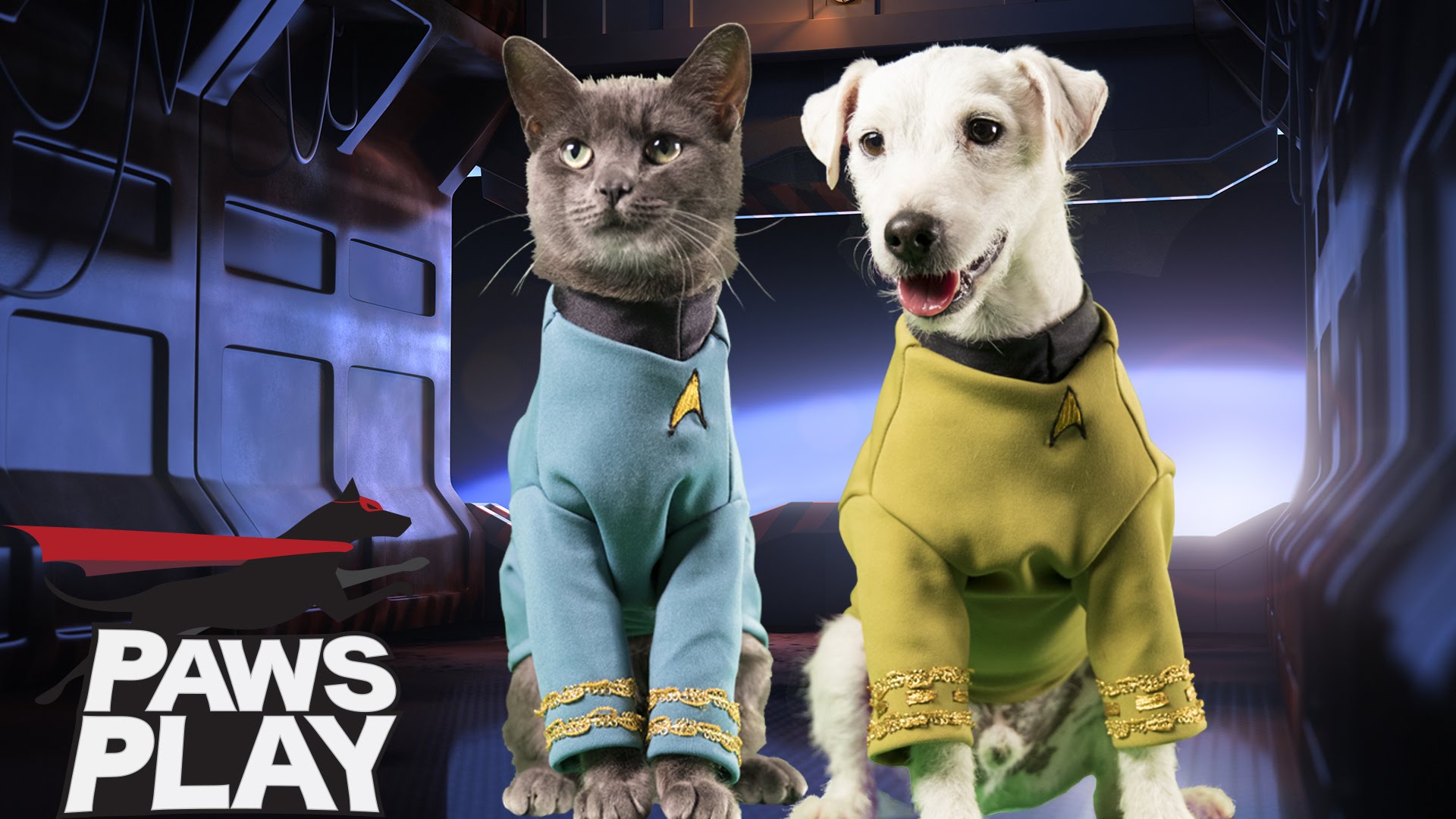 Включи star pets. Dog Star Trek. Paws and Play. Playpaws от PHYSIPET. Azazel Paws and Play.