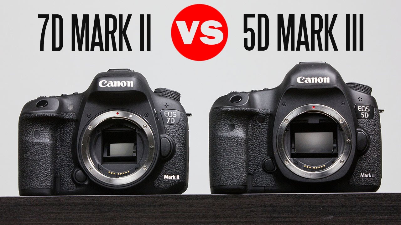 3 7 d 2. Canon 7d vs 5d. 5d Mark II vs 5d Mark III. Canon 5d vs 5d Mark II сравнение. 7d Mark II vs 7d.