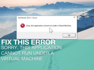 Sorry this application cannot run under a virtual machine что делать windows 10