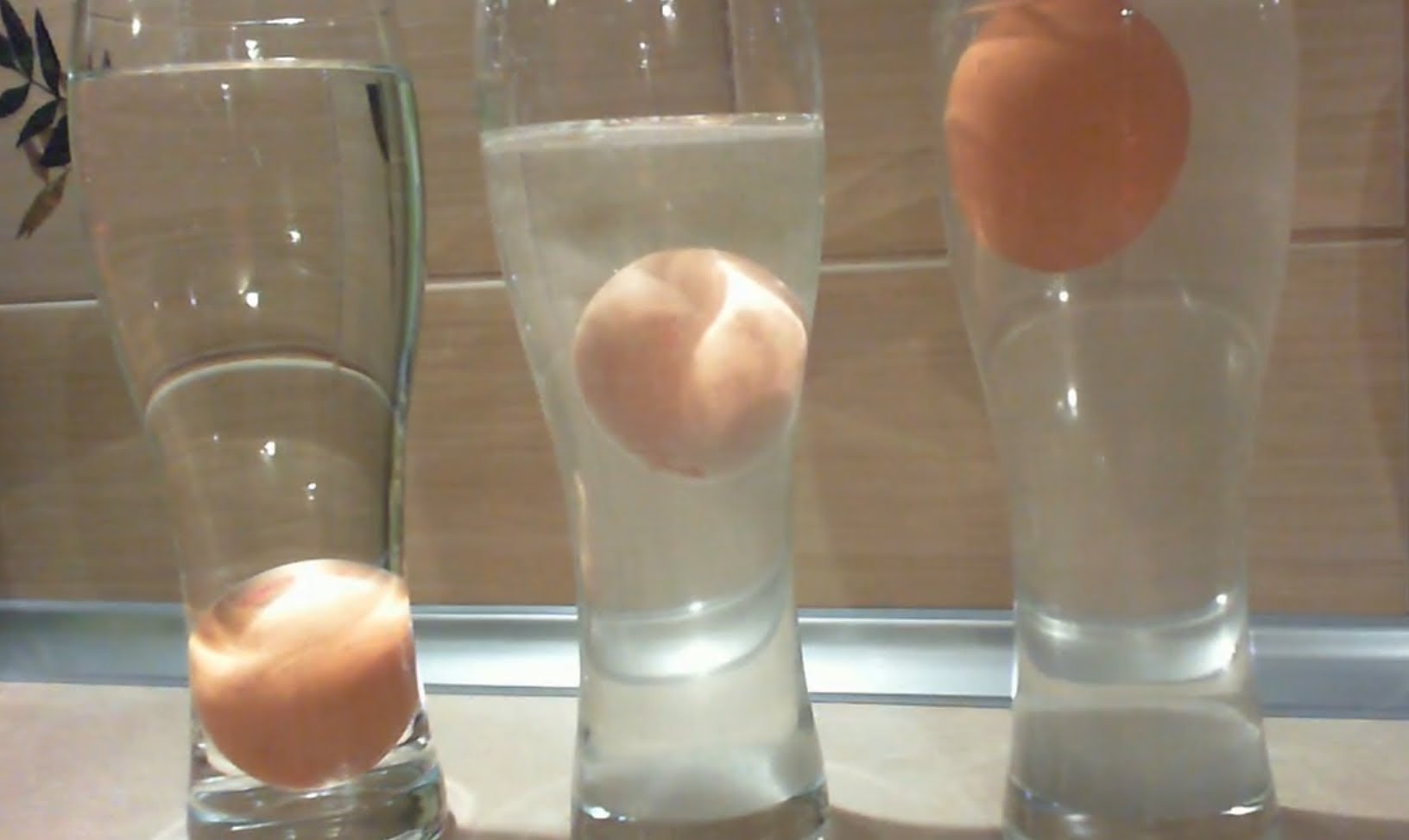 Яйцо поместить в воду. Яйцо в соленой воде. Эксперимент с яйцом и соленой водой. Опыт с яйцом и соленой водой. Опыт с водой и яйцом и солью.