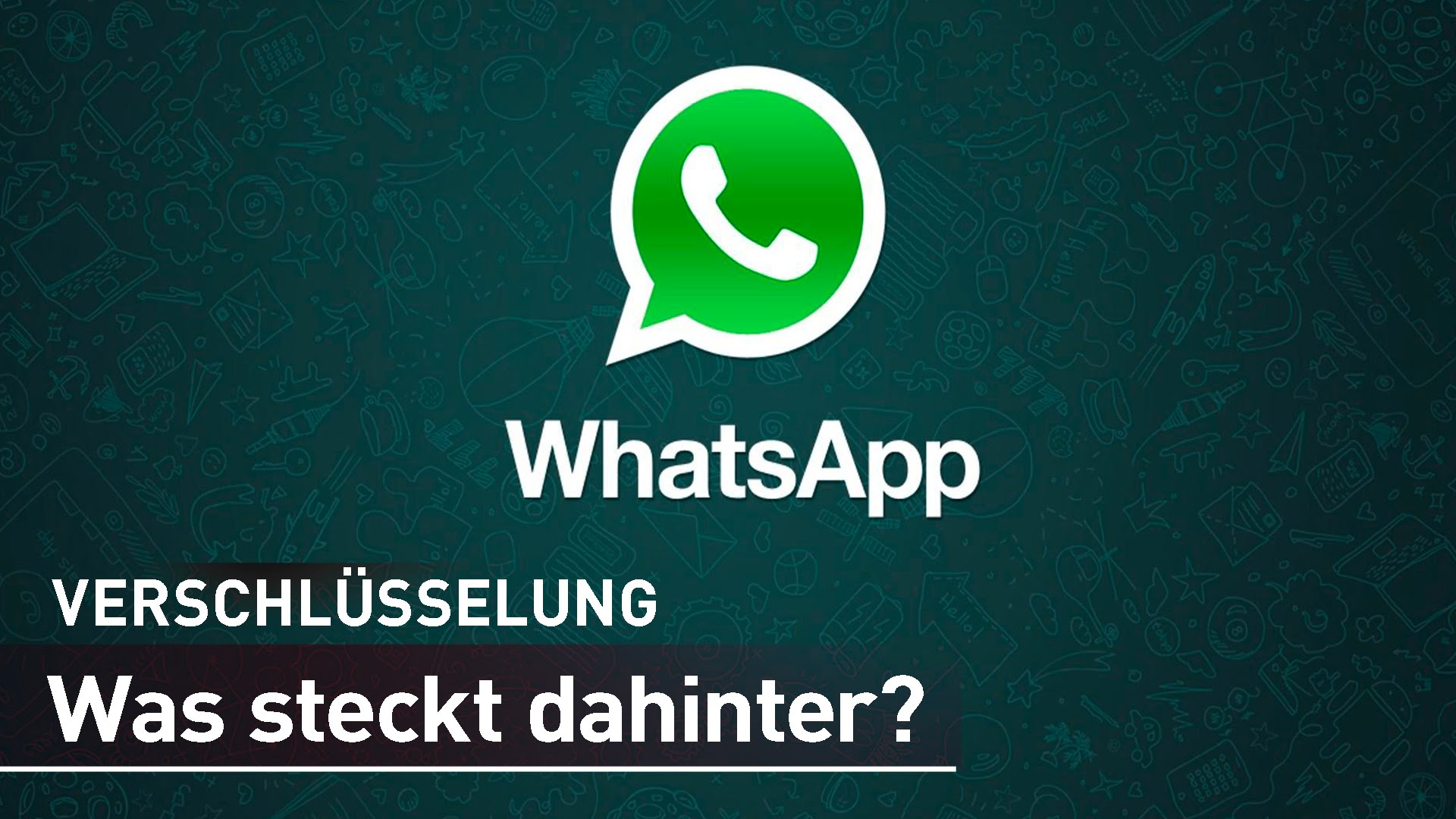 CHIP beantwortet WhatsApp Fragen im Experten-Hangout | CHIP.